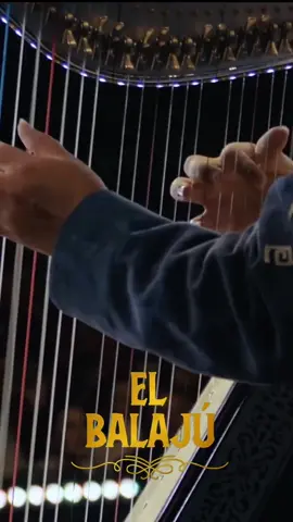 He said mariachi is what they play in hell… so I showed him what heaven actually sounds like. #mariachi #mariachivargas #mexicanculture #orgullomexicano #musicedit #soundofheaven #fyp #worsttakeever 