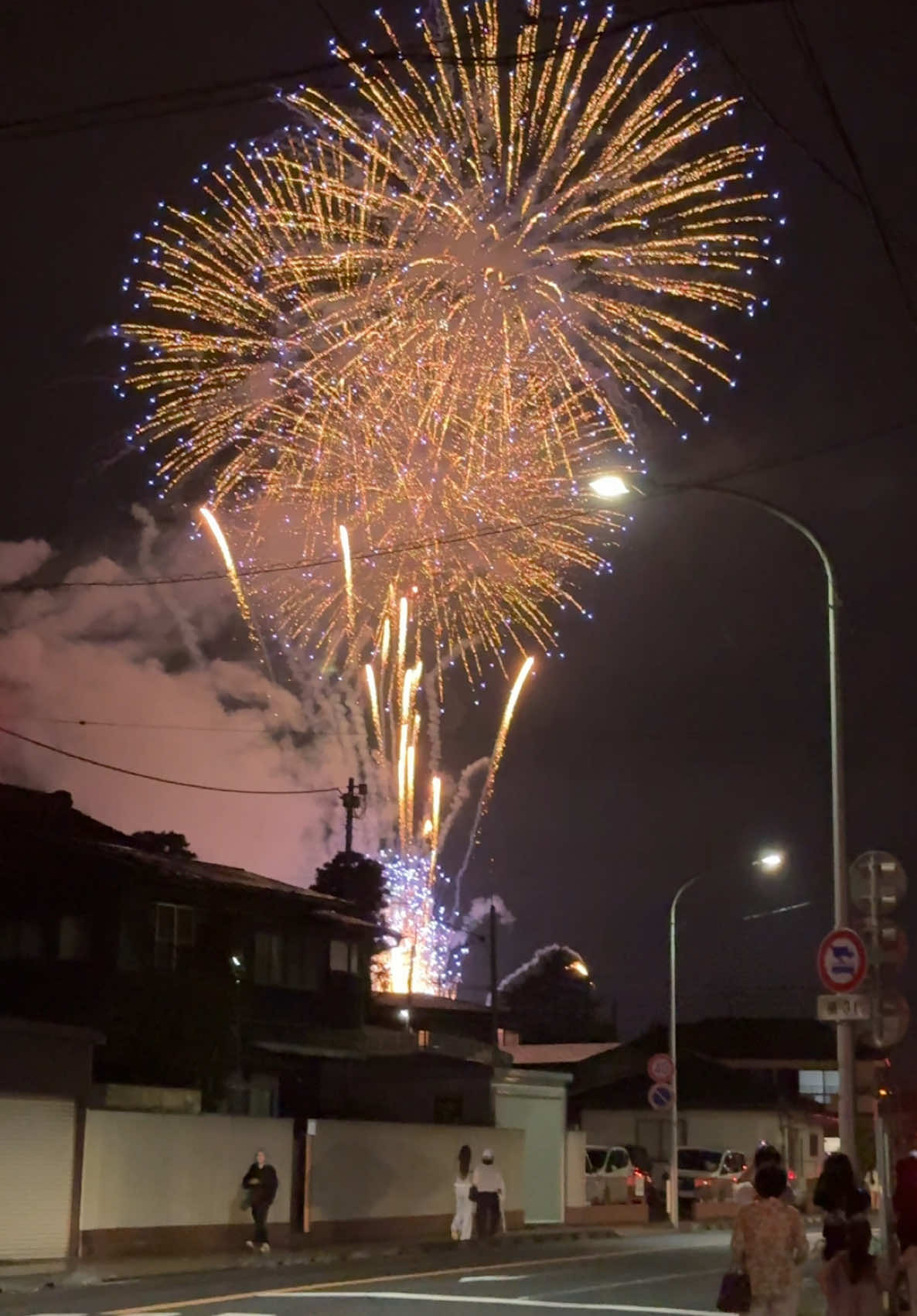 one day hanabi with you 水海道花火🎆 #花火 #日本語 #japan #sad #hanabi 