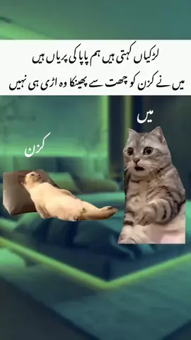 OH My Yes 😩 (ab kiy hoga ) . . . #unfreezemyaccount#fyppppppppppppp#memes_by_haseeb5 