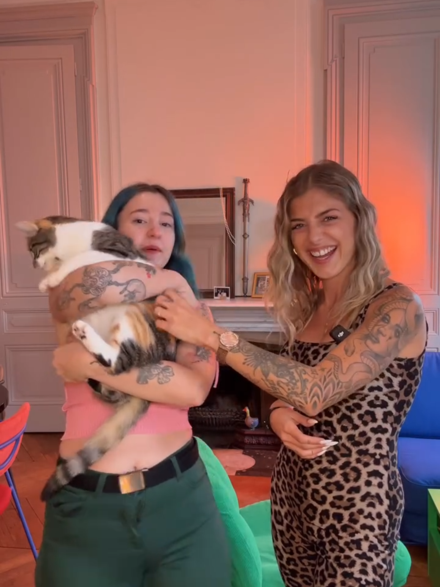 Avec @petit_abricot_21 on j'adooooore nos chats >< et toi c'est quoi le truc le plus ridicule que t'as fait pour ton bb ? 🩵 #lyon #altgirl #chat