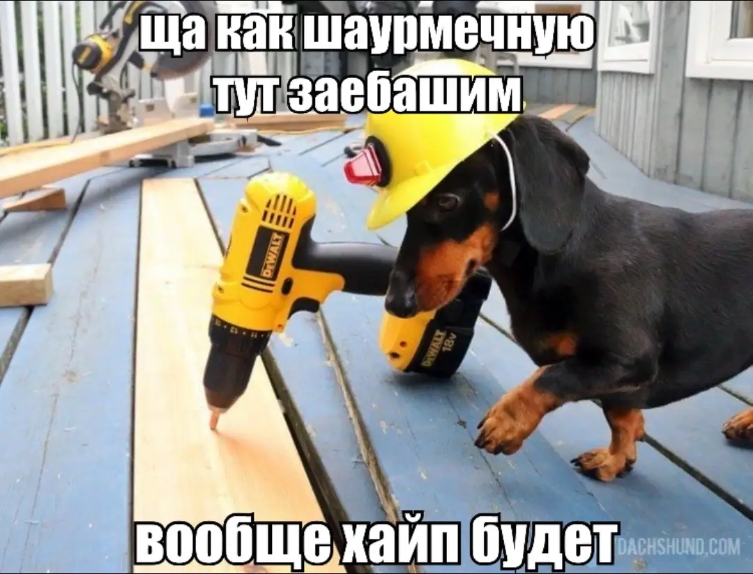 шаурма💞💞💞 #fyp #рек #щитпост #рофл 