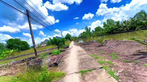 Nhìn cảnh là biết quê tui ròi hé #cảnhđẹp #cảnhđẹpthiênnhiên #xuhuong #fyp #miềntây 