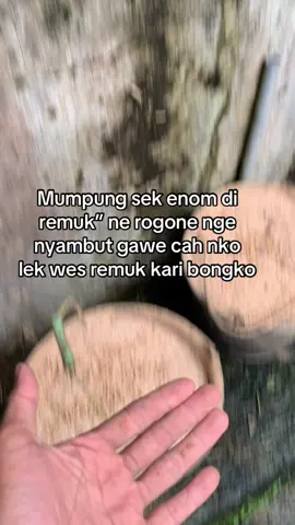 Semanguaaatt#kokopgank 