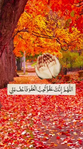 #سبحان_اللہ #گــوهــداربـە😊 #oops_alhamdulelah #اللهم_انك_عفو_تحب_العفو_فاعف_عنا #اللهم_صل_على_محمد_وآل_محمد 