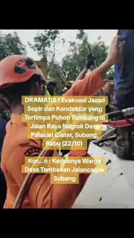 #evakuasi #pohontumbang #ciatersubang #beritatiktok 