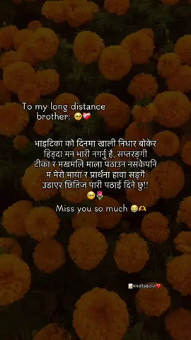 भाइटिका दिनमा खाली निधार बोकेर हिन्दा मन भारी नगर्नु है, सप्तरङ्गी टीका र मखमलि माला पठाउन नसके पनि म मेरो माया र प्रार्थना, हावा सङ्गे उडाएर छितिज पारी पठाइदिनु छ !! 🥺🌷 #fypシ゚viral #goviral #📝मनकोआवाज❤️ #tiktoknepal #tihar 