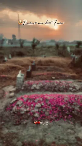 #foryoupage #fyp #foryou 