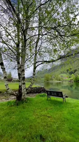 ﴿قَالُوا يَا نُوحُ قَدْ جَادَلْتَنَا فَأَكْثَرْتَ جِدَالَنَا فَأْتِنَا بِمَا تَعِدُنَا إِن كُنتَ مِنَ الصَّادِقِينَ﴾ (سورة هود - الآية 32 #محمد- المحيسني#قرآن#قران_كريم #تلاوة_خاشعة #رحة_نفسية #انشر_تؤجر_بإذن_الله #اكسبلورexplore #سبحان_الله_وبحمده_سبحان_الله_العظيم 