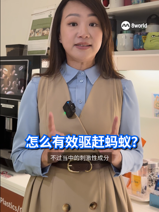 水淹、喷杀虫剂治标不治本，蚁穴还在反而会促使搬窝、分散据点！哪些天然香料能有效驱赶蚂蚁？专家来为你解答！#狮城有约 #狮城热话 #TalkoftheTown #ants #蚂蚁 #杀虫剂 #pesticide Auto-generated English translation may not be accurate. Click 