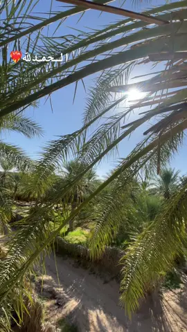 #قولوا_ماشاء_الله #صلوا_على_رسول_الله #الحمدالله_علی_کل_حال❤ 