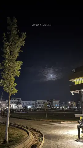 #MILoDY🖤🐺 #quotes #foryou #pirmam #baarrzzanii33 