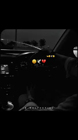 گل ہے نصیباں دی😩🌼💔🍂#aestheticvideos #saraikisong #sadsongss #lyrics_songs #growmyaccount 