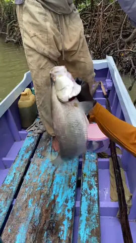 kita tuh selalu dapet ikan geratis terus #yulianarahman #fyp