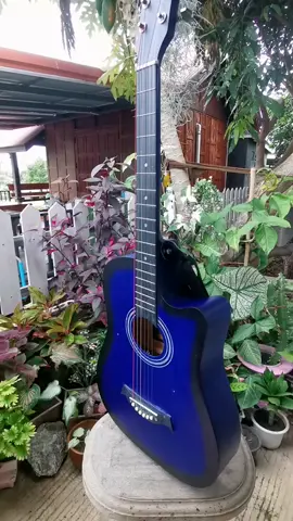 #กีต้าโปร่ง #กีต้าร์ #แม่โจ้ของดีราคาโดนใจ #Ai #ชอบดนตรี 