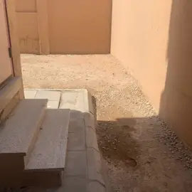 #الشعب_الصيني_ماله_حل😂😂 #fyp #fyppppppppppppppppppppppp #متوسطة 