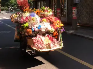 Có một nỗi nhớ mang màu vàng của nắng thu🍁 #chualanh #trending #hoa #thiennhien #yenbinh 