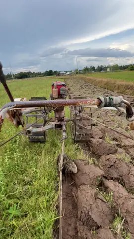 #bismillahfyp #anakpetani🌾 #petaniindonesia🇮🇩🇮🇩🇮🇩🌿🌿 #wijapaggalung🌾 #petanimuda 