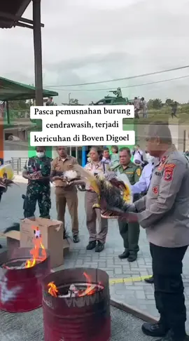 Unjuk rasa masyarakat adat Kabupaten Boven Digoel akibat pemusnahan mahkota Cendrawasih, berakhir ricuh dan satu anggota Polres Boven Digoel dilaporkan ditikam massa aksi. #fyppppppppppppppppppppppp #vyp #semuaorang 