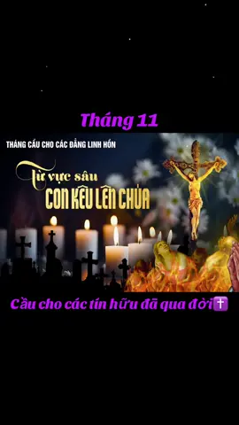Lại một tháng 11 sắp tới – tháng của biết ơn và tưởng nhớ. Xin Chúa cho các linh hồn được nghỉ yên trong tình yêu Ngài.✝️ #tháng11 #cầuchocaclinhhon #conggiaovietnam #fyp #xuhuong 