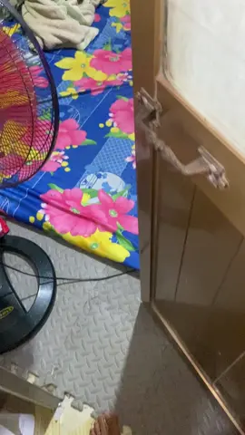 căn phòng mà bao chàng trai mơ ước 🥰⚽️ #bóngđá #xuhuong @ConGuộtÔngTèo😎 