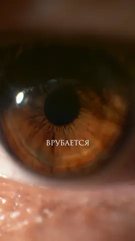 Живите, а не существуйте 