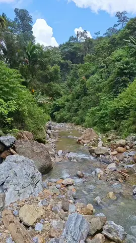 ASMR...✅️ Traditional gold mining #armangoldhunting 