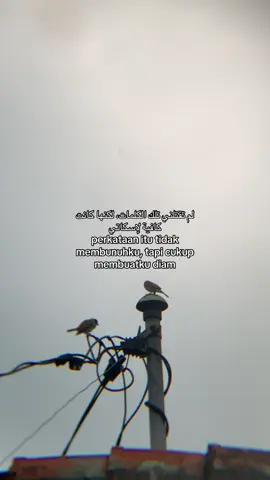 #katakata #syaircinta #fyp #arabicsong #Kmllawr_ 