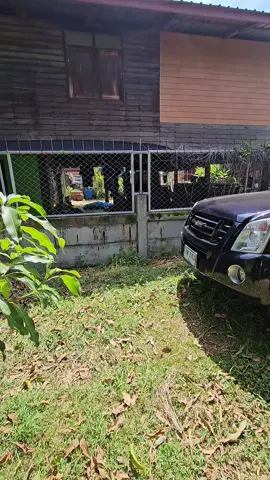 #จุ๊บจัตุรัส