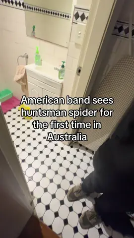 top 5 funniest moments on tour so I had to make this… Australia rocks tho #australia #huntsman #alt @★ ✰ SIR ECHO ✰ ★ 