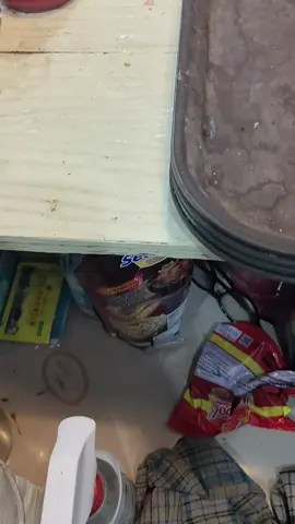 positif tingking ajaa,mungkin yang di vc adeknya#fyp #vc  #kepergok #selingkuh #keciduk 