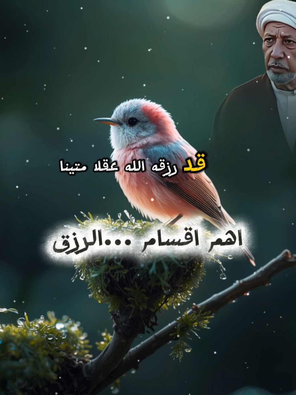 #الرزق#اقسام #الرزق_على_الله 