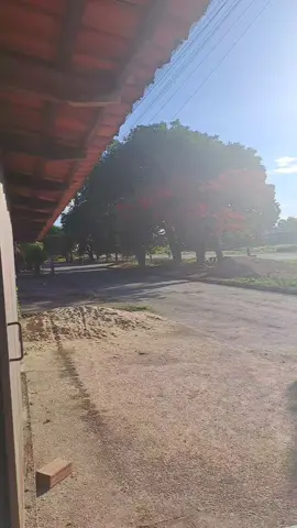 #fazendeiro #vidanaroça #vidasimples #interior #viral 