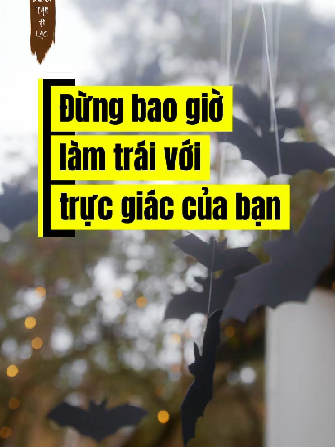 Đừng bao giờ làm trái với trực giác của bạn #tinhthuc #tamlinh #trucgiac #giacquanthu6 #trietlycuocsong #duongtam #an#anlac #taman