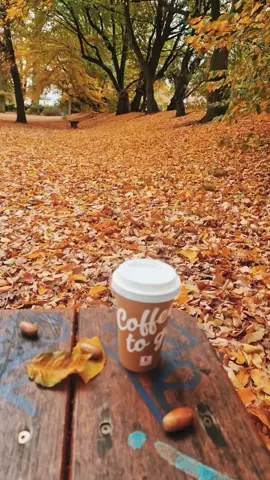 #🍂🍂🍂 #خريف #🍂🍂🍂🥀🥀🖤🖤🖤⚘ 