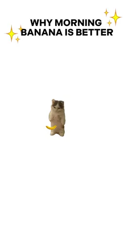 Why morning banana is better explained by cats #kitty #banana 