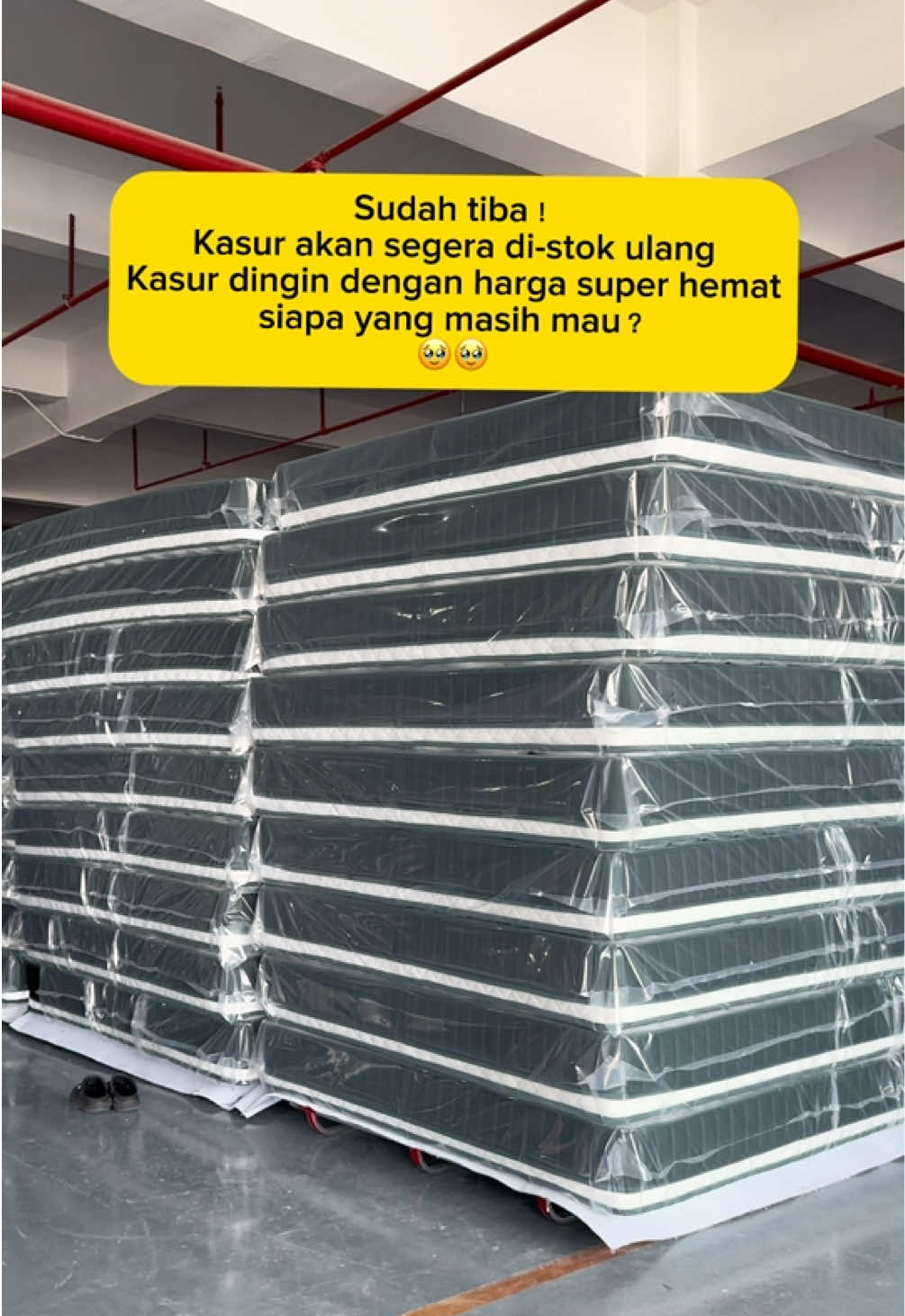 Sudah tiba！Kasur akan segera di-stok ulang. Kasur dingin dengan harga super hemat，siapa yang masih mau？🥹🥹#kasurmosswood #kasur #kasurdingin #rekomendasikasur #springbed 