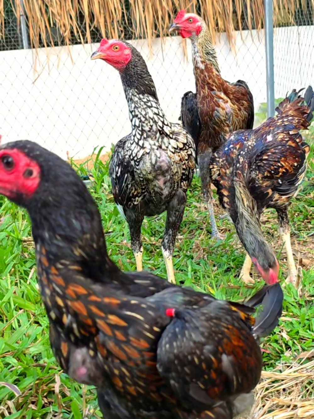 สวยเกิ๊นนนน🥰🥰