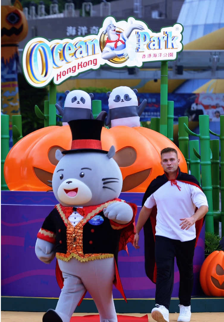 The Ocean Park squad came dressed up and ready for the red carpet! 🎭👻 They’ve shown off their Halloween style — can you do the same?  🎃🔥   Visit Hong Kong and dress up this Halloween! Keep an eye on the streets for #RedCarpetBoy.👀 Check out our schedule for more! 🗓️ #DiscoverHongKong #HongKongHalloween2025 #DressupShowup #OceanPark 