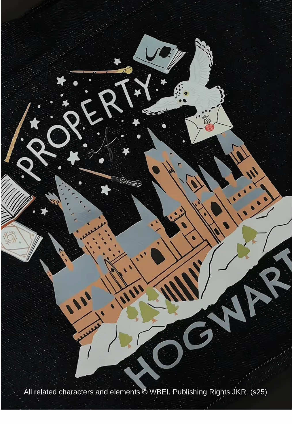 Carry a piece of Hogwarts everywhere you go 🪄💙 The Harry Potter Property Hogwarts Denim Sling Bag. casual, versatile, and full of wizarding charm. ✨ Perfect for every magical journey.#HarryPotter #HarryPotterStyle #Thesilversky #PotterHead #LocalBrand  
