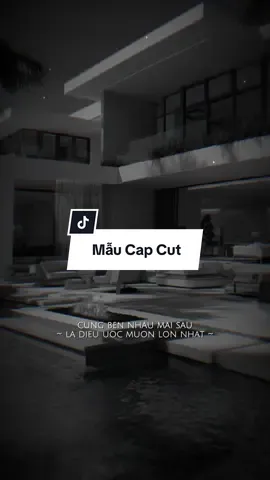 Cùng bên nhau mai sau là điều ước muốn lớn nhất…! #laanh #capcutmaster #nhachaymoingay 