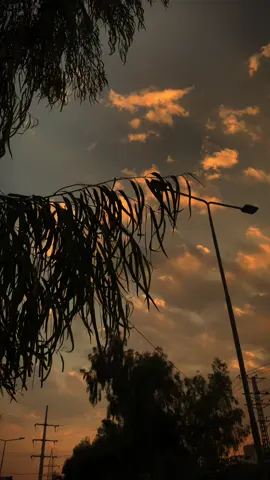 : نہ ہاتھ تھام سکے نہ پا سکے دامن بہت قریب سے اٹھ کر بچھڑ گیا کوئی#trending #millionviews #naturelover @Huمa 🫀 