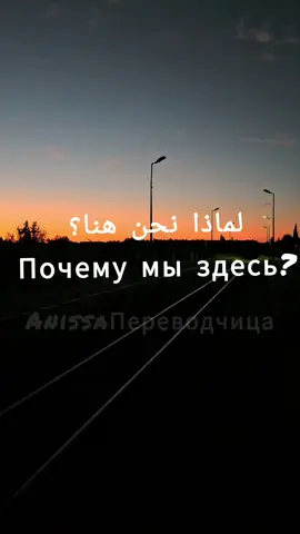 #فولو #اكسبلور #تعلم_على_التيك_توك #перевод #explor 