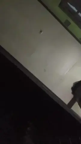 Selalu Baper dg lagu ini #nttpride🏝🔥 @Faisal Resi @vickhyfao 