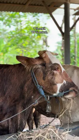 Bismillah akan lebih baik lagi 🥰🥰@