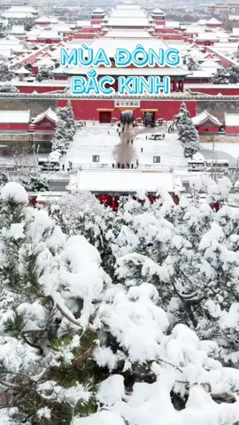 Tại sao mọi người thường nói, mùa đông Bắc Kinh là điều không thể bỏ lỡ ? #muadong #backinh #dulichtrungquoc #khanhbangditour 