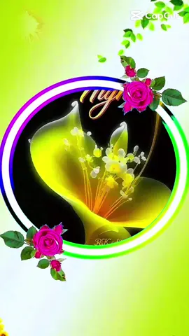 #chaobuoitoi #buoitoivuive  @Thotran1953 