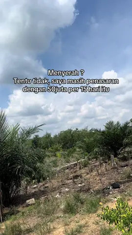 Semangat petani muda #petaniindonesia🇮🇩🇮🇩🇮🇩🌿🌿 #fyppppppppppppppppppppppp #petanimuda #bossawit #100hektar 