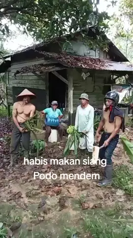 wong tani hefi #wong tani#petani hefiy