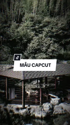 Người làm cho trái tim mỗi đêm phải vấn vương tìm lại hình #CapCut #edit #mẫucapcut #xh #nhachaymoingay #lyrics #capcutmaster 