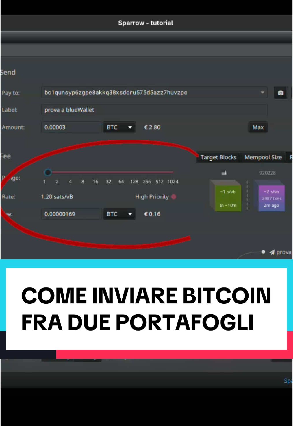 Ecco illustrato in modo semplice come inviare #bitcoin fra due #softwarewallet differenti, nel nostro caso #sparrowwallet e #bluewallet . Ricordatevi che per la vostra sicurezza è sempre meglio utilizzare degli #hardwarewallet per la custodia e gestione dei vostri #risparmi . #selfcustody #bitcoinitalia #Tech #tecnologia #tips 